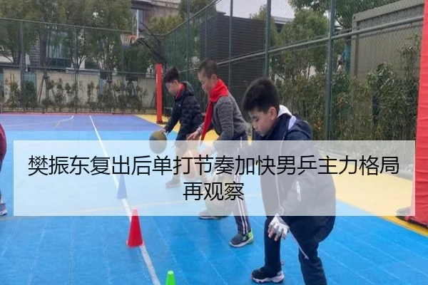 樊振东复出后单打节奏加快男乒主力格局再观察